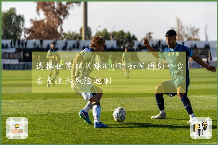 选择世界杯买球app时如何辨别平台安全性和风险控制
