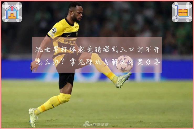 玩世界杯体彩竞猜遇到入口打不开怎么办?常见踩坑与解决方案分享